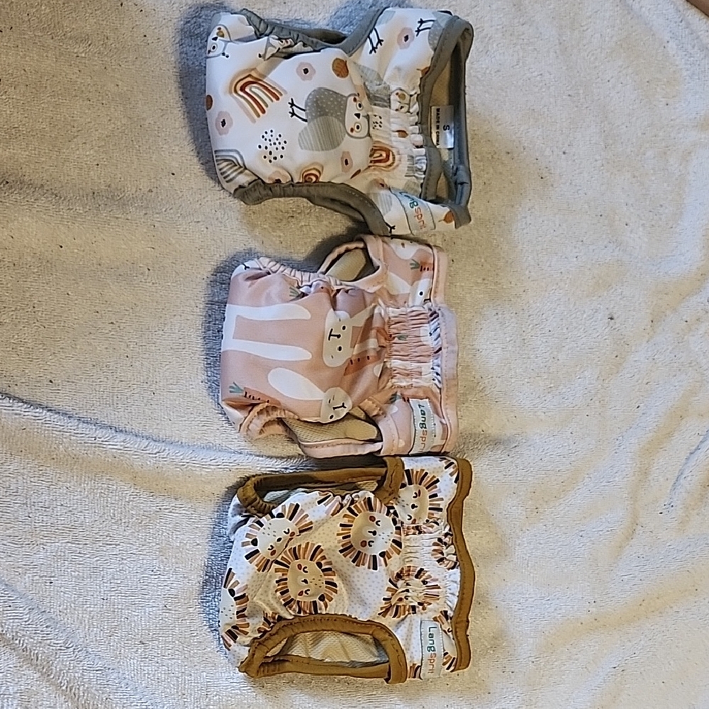 Gray and Pink Dog Clothing with Stylish Accessories